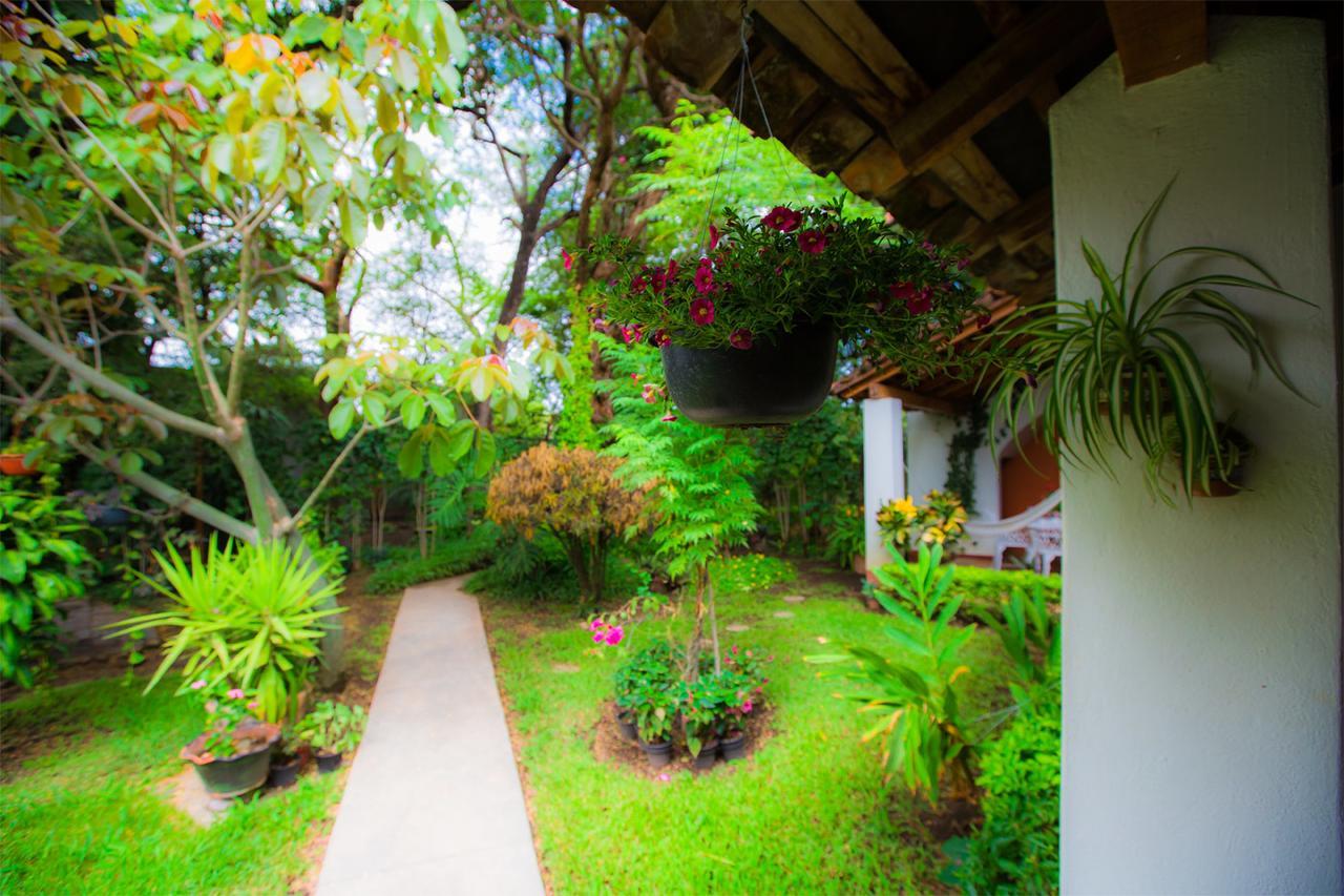 Hostal La Parroquia En Comala ภายนอก รูปภาพ